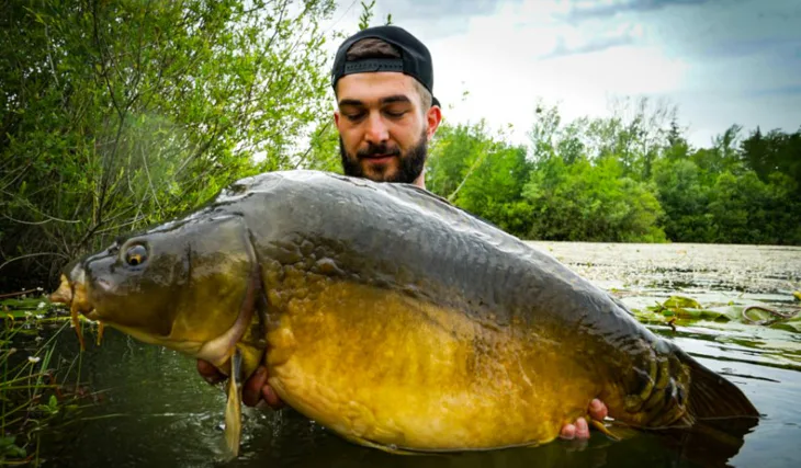 Zarostlé jezero - GRASSY WATER