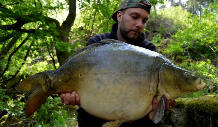 Realita nad očekávání