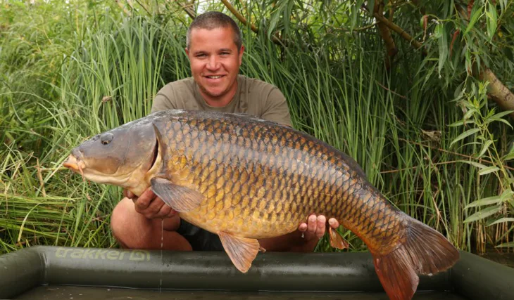 Letní krátké vycházky