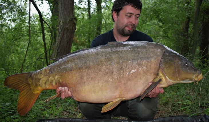 Konec dobrý, všechno dobré