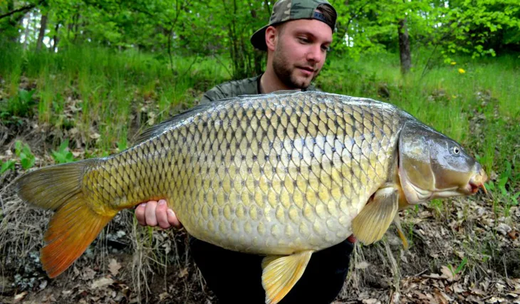 Orlík – tentokrát úspěšně