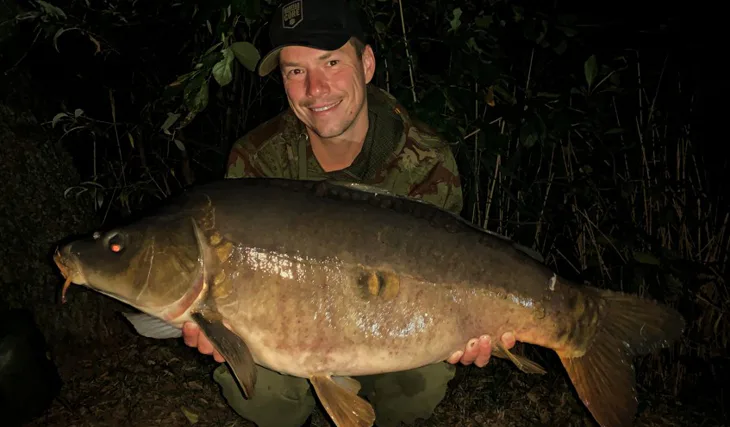 Království plné lysců