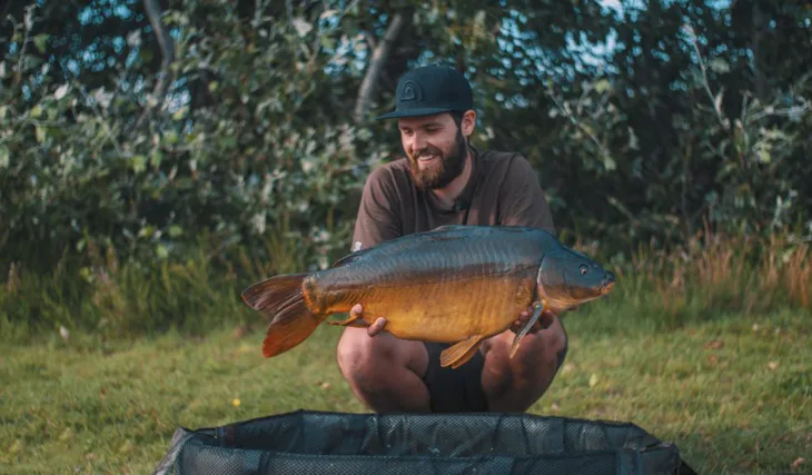 Food Signal = Furt signál