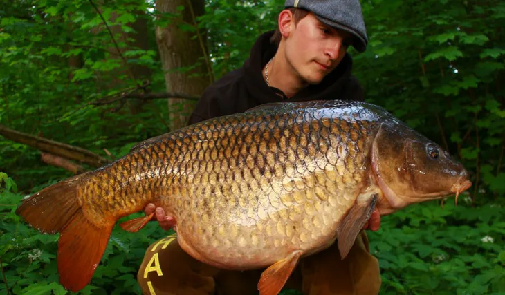 Spomienka na Labské prasa / A memory of the pig from Elbe