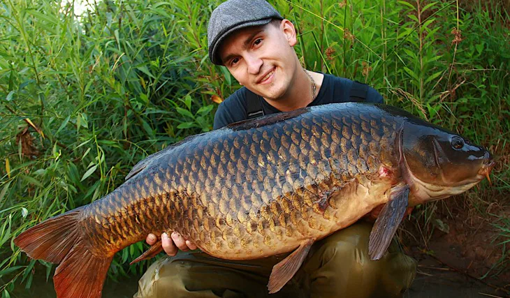 Letné noci s Ronnie rigmi