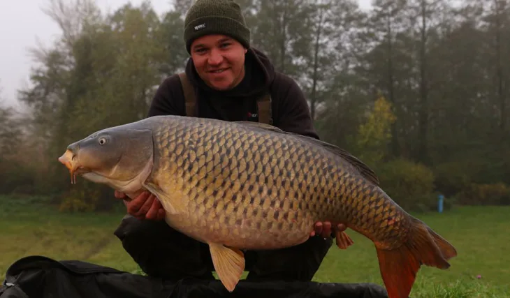 Listopad pod Pálavou