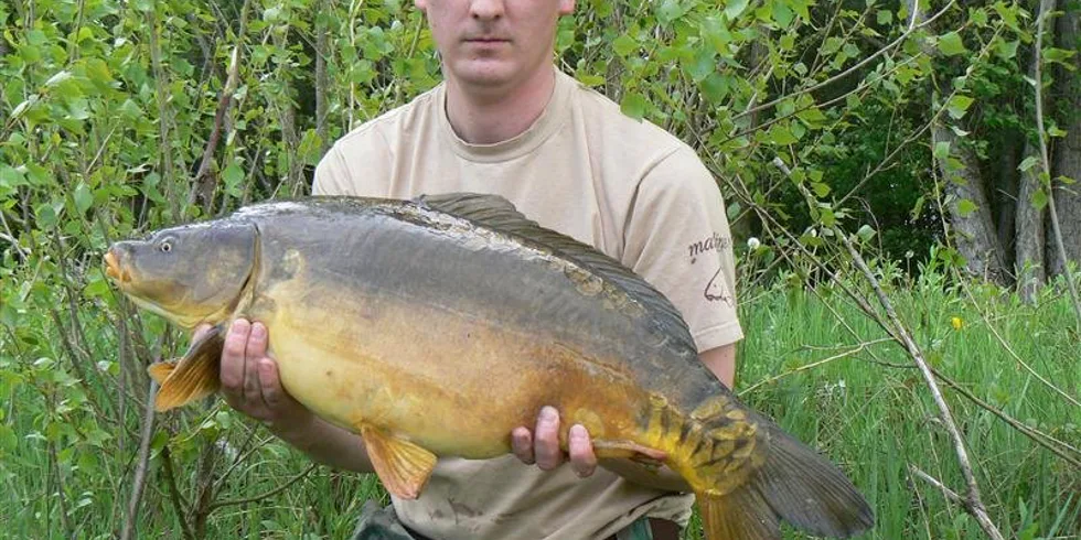 Lysci ze svazové pískovny