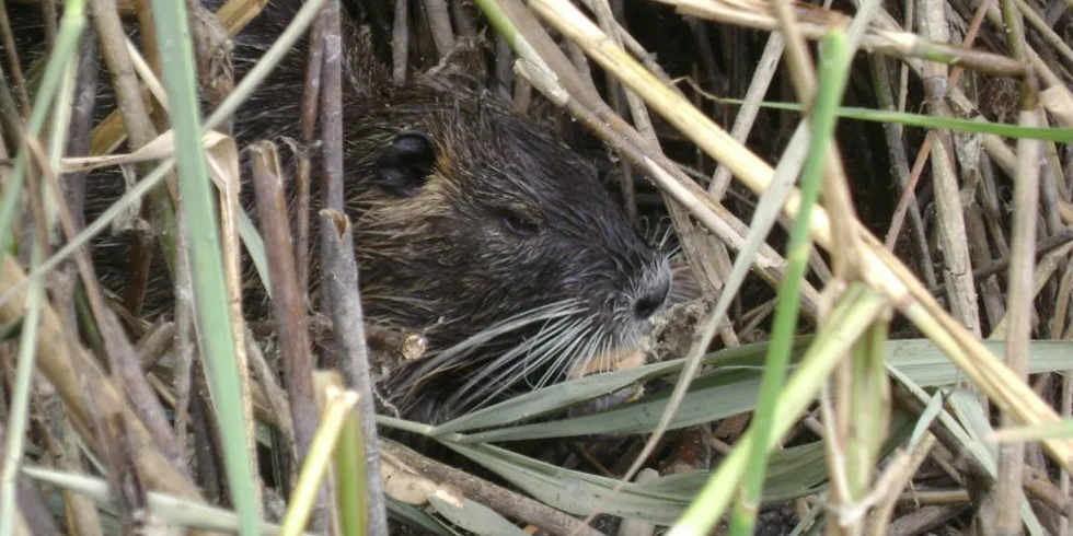 Splněný sen s 3XL Pavla Višněvského