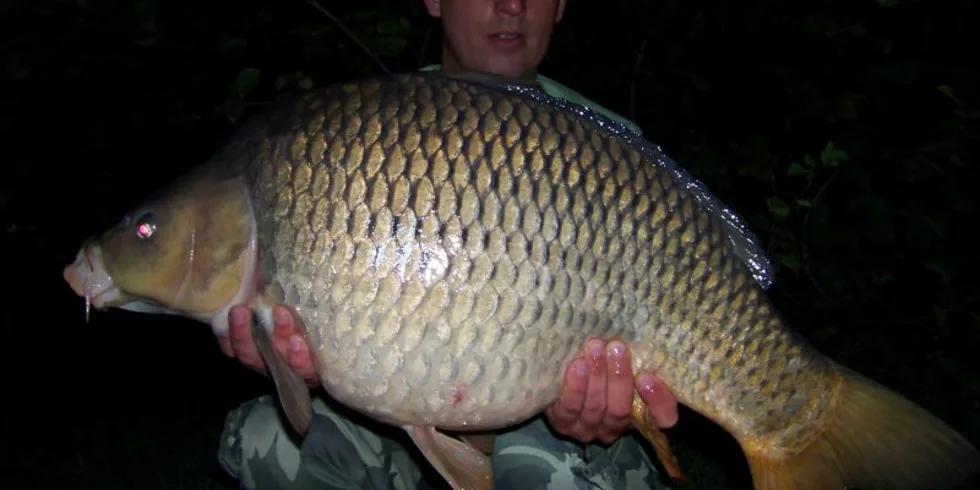 Výprava Františka Vojty na Labe