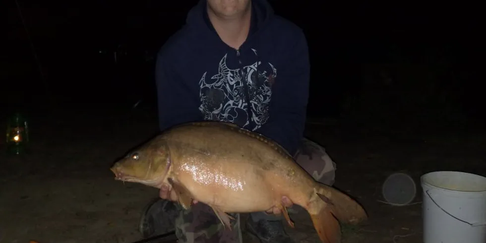 Týždnovka s 3XLkom