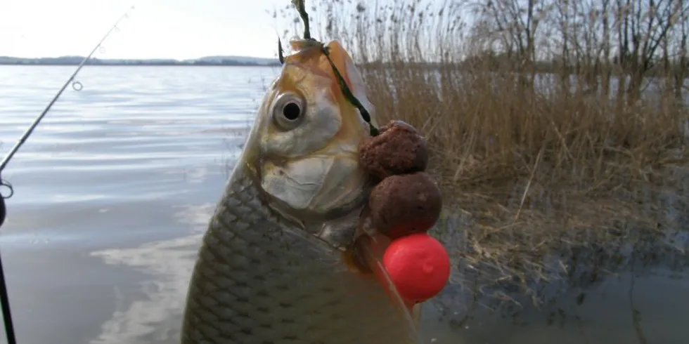 nezverejnovat, udelam jako report!!