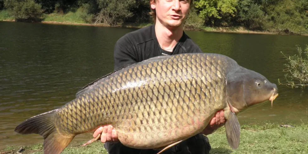 Úžasná ryba na C4!