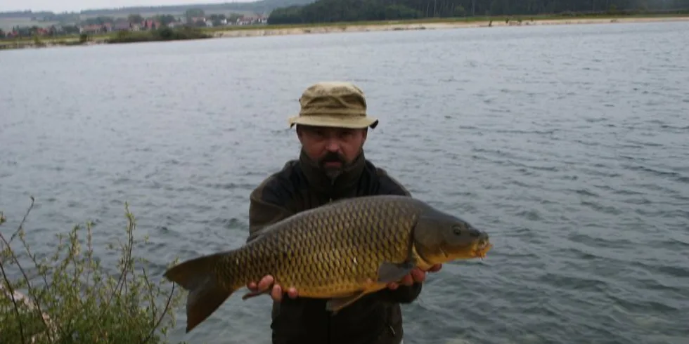 Obalovací specialita Odkopaná selka sklízí první úspechy mezi rybáři!