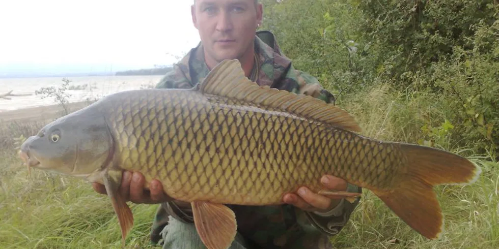 Zemplínská Šírava!