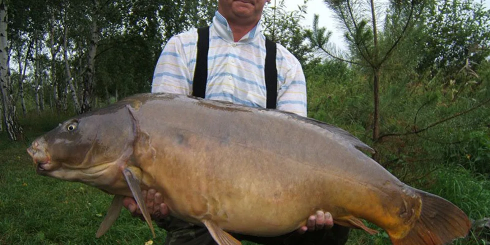 Podzimní krasavci z Orlíku