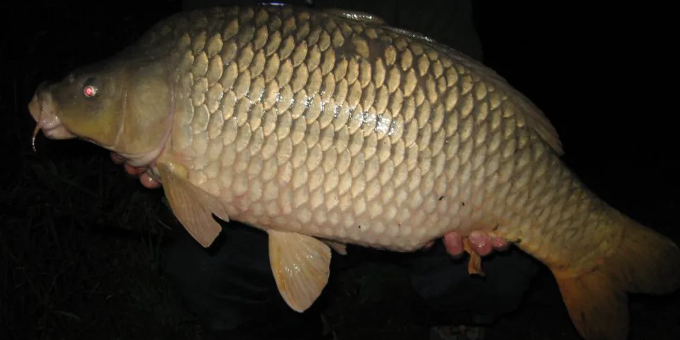 Krvavé Peklo na Mereneye