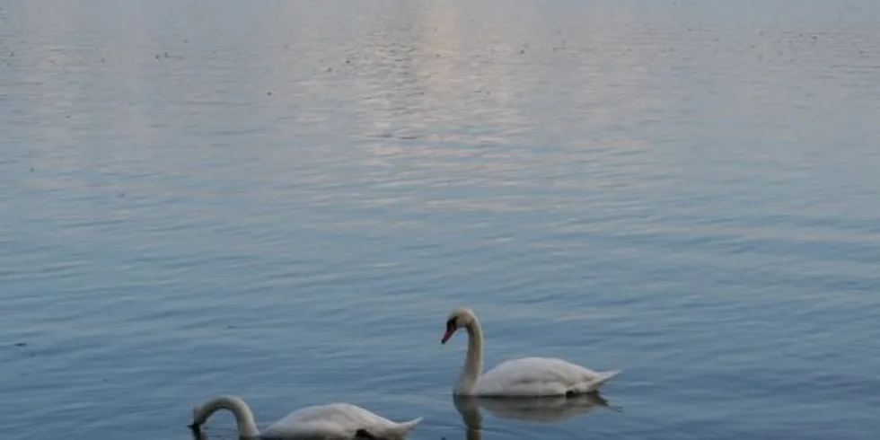 Zpátky na Tovačově