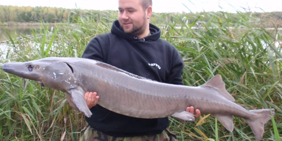 Carp´R´Us forever!