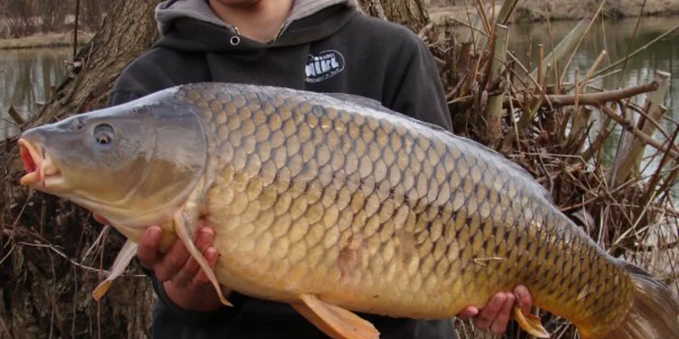 První ryby sezony pro Jirku Moce!