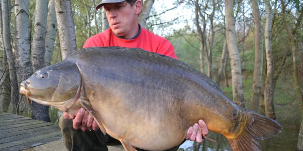 První letošní dvacítka pro Fandu Šlingra!