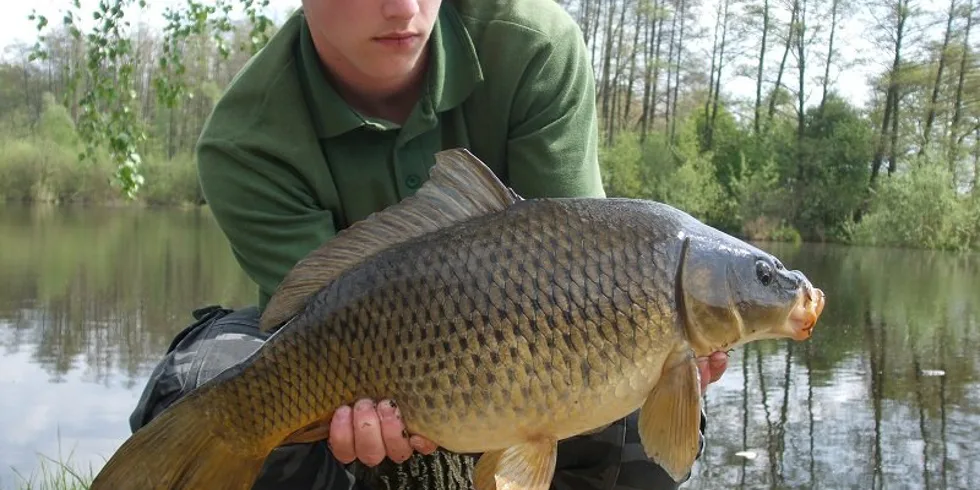 Martin Sarganek na revíru Mlýnský