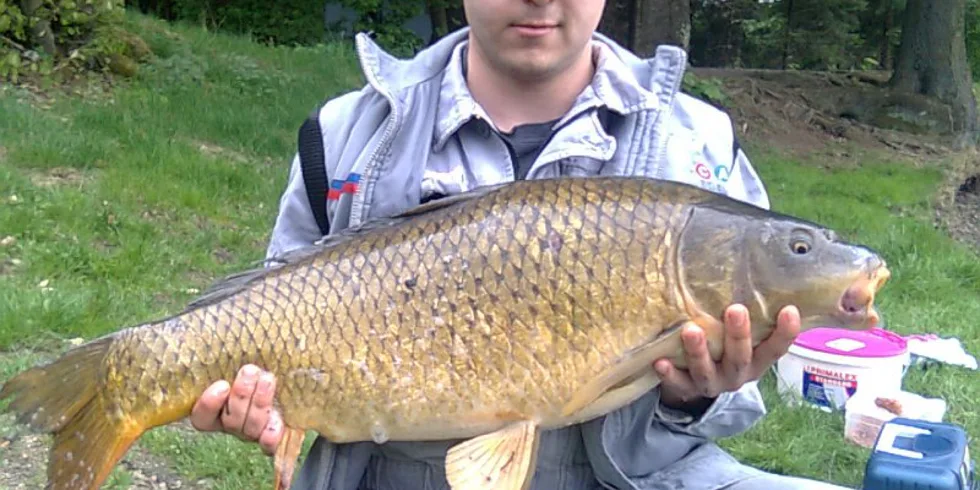 Noční Můra na soukromém rybníce