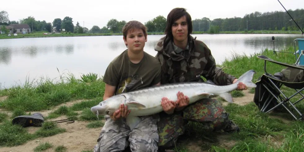 Obří jeseter na 3XL!