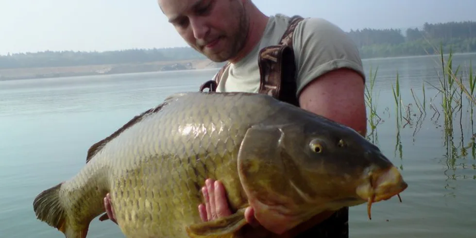 Monstrum na Noční Můru!