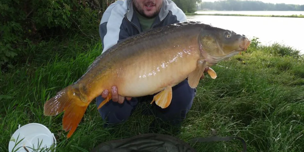 Sobotní 12-ti hodinovka Petra Heglase