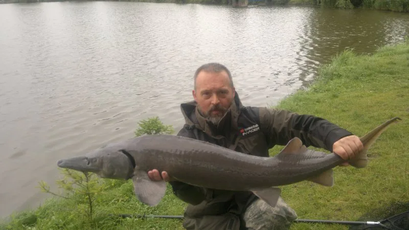 Jeseter ze soukromé vody