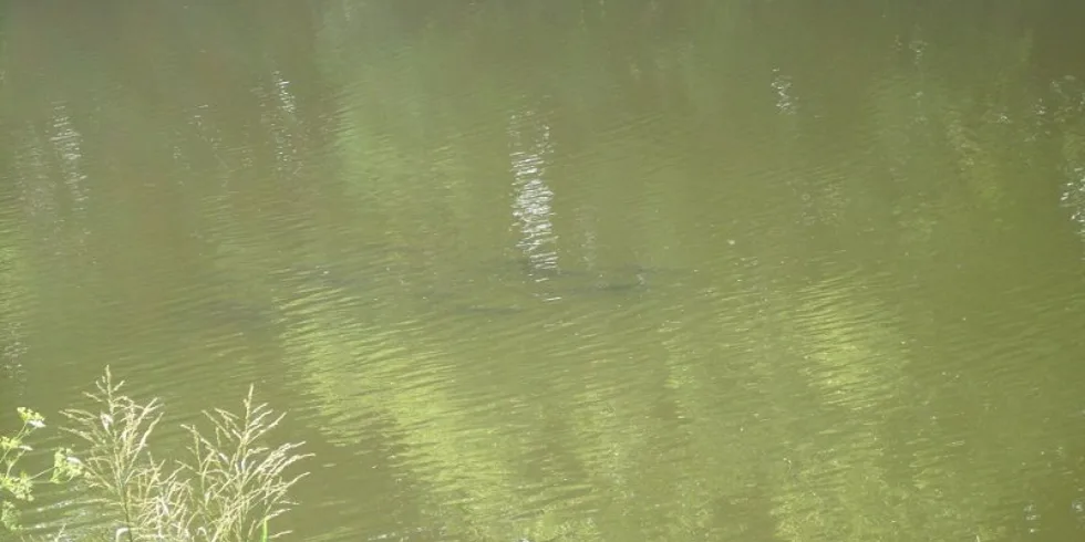 Filipův povedený lov