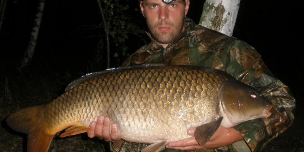 Kapřík na Noční Můru od Davida