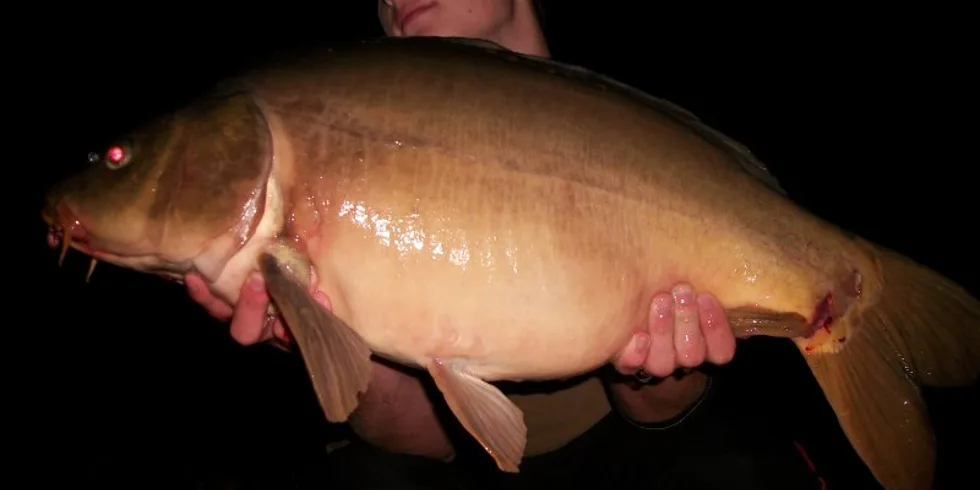 Martin Sarganek a jeho pěkná série