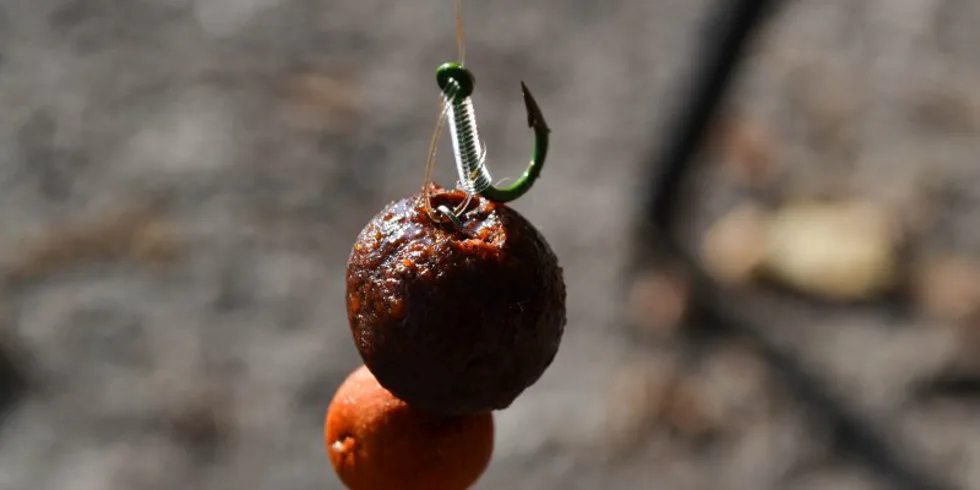 Stoják u České Lípy