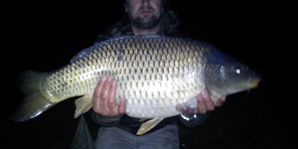 První podzimní lovy