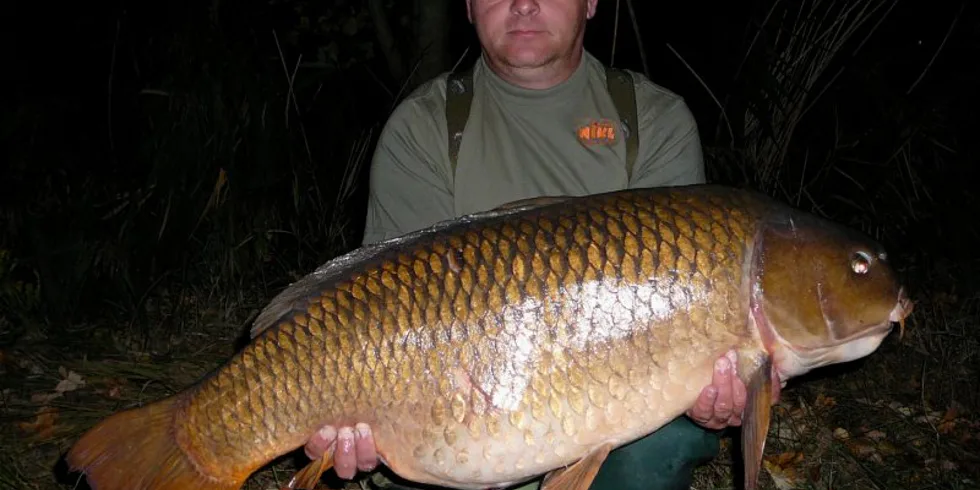 Mildovy podzimní výpravy...