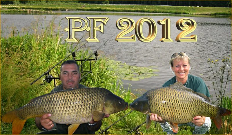 PF 2012