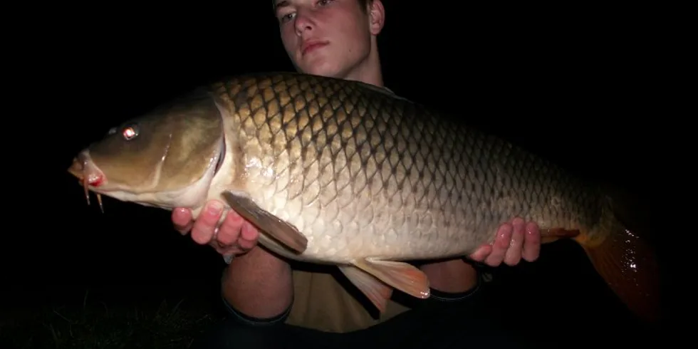 Mrazivá výprava Martina Sarganka