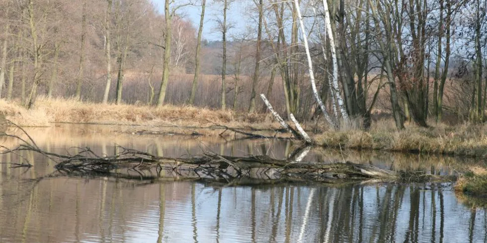 Honza Kořenek a lednová výprava