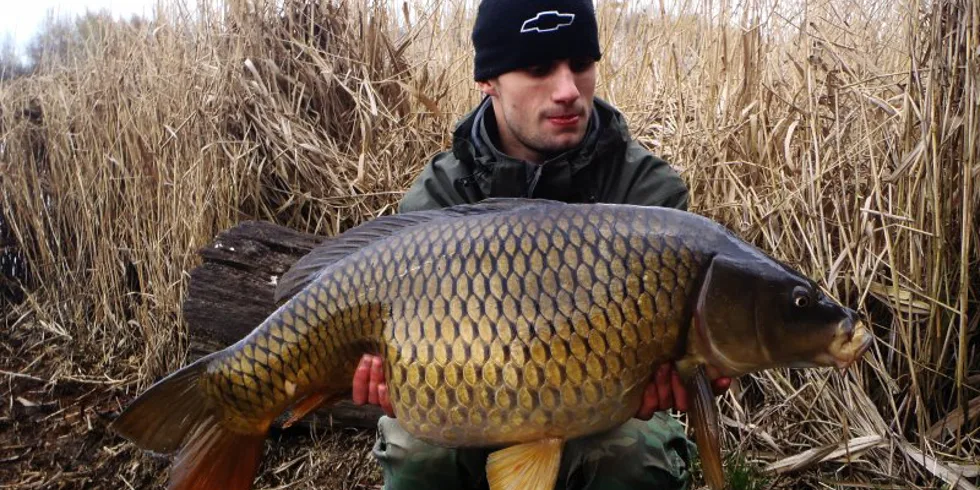 Velikonoční nadílka