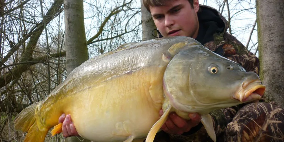 Zkouška High Attractu