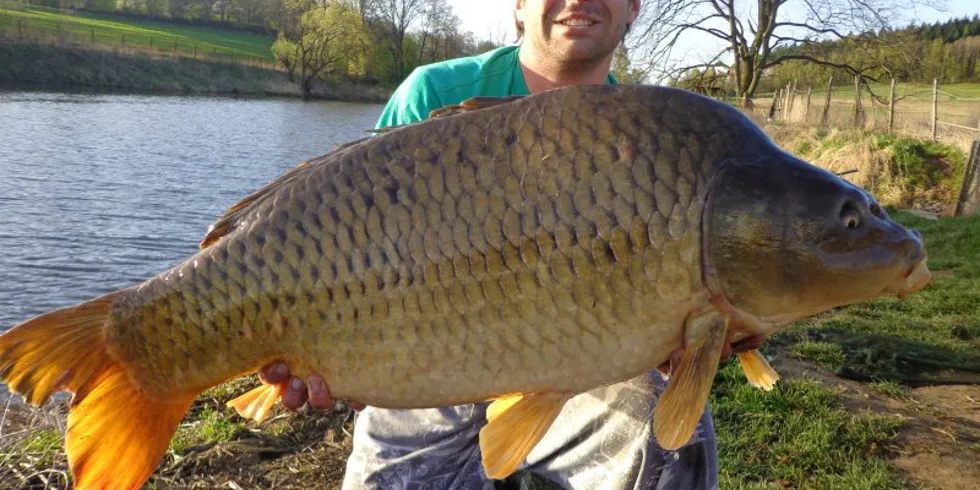 Kill Krill Atract aneb Díky Karle!!!