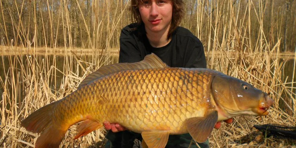 Z Máčidla na řeku..