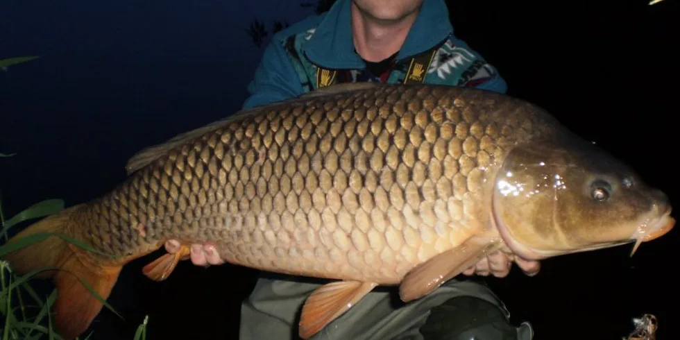 Mirek a Lůca na Orlíku a Labi