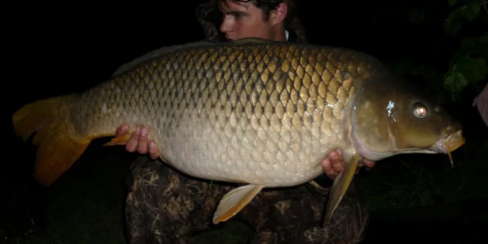 Po delší době u vody...