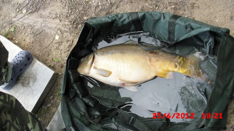 Po Práci potřetí...