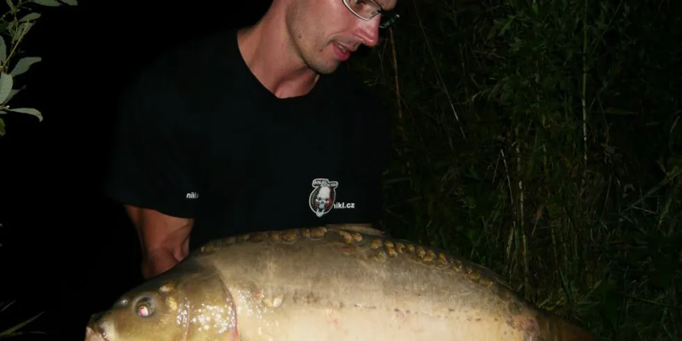 Vyvedený srpnový víkend ve stylu „3XL/Krill“.