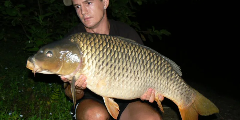 Několik víkendů v podání Honzi Čermáka