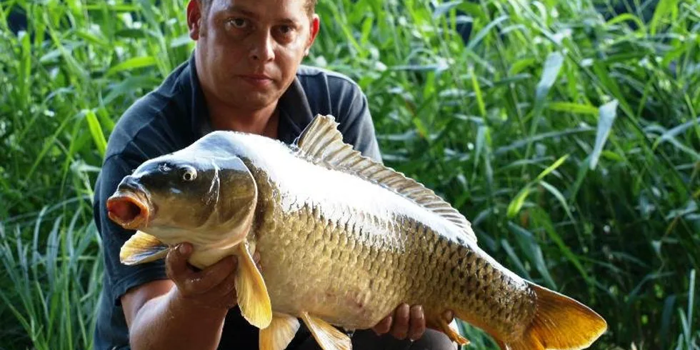 KILL KRILL BODOVAL !!!