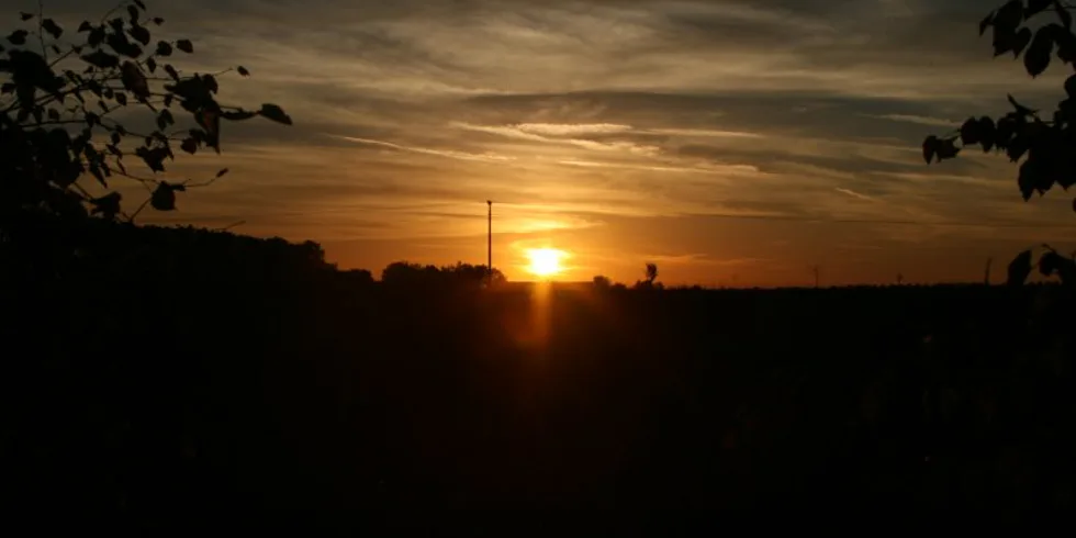 Rychlovka Honzy Kořenka